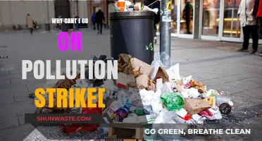 Why Can't I Go on Pollution Strike? Exploring the Barriers to Action